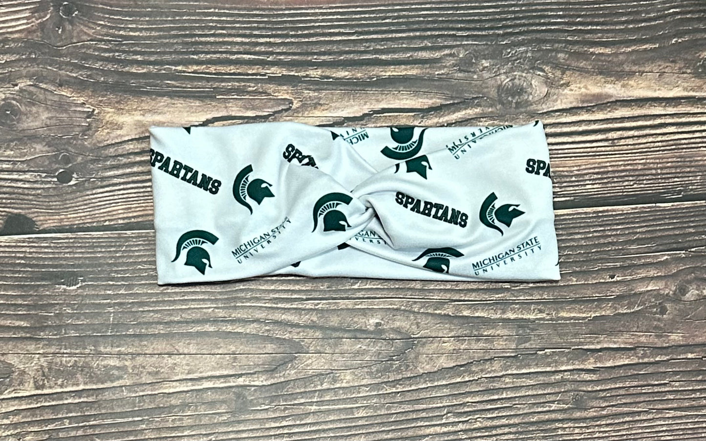 Michigan state